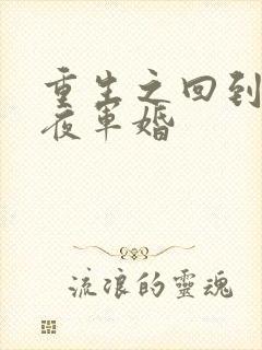 重生之回到新婚夜军婚