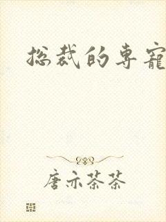 总裁的专宠床奴