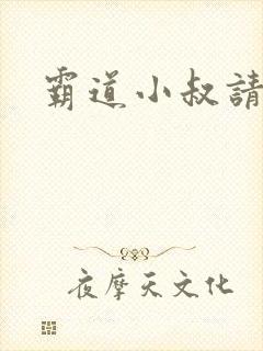 霸道小叔请轻撩