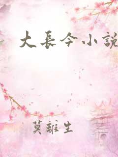 大长今小说下载