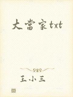 大当家txt