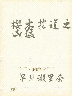 樱木花道之重生凶猛