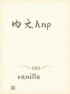 肉文hnp