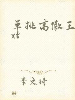 单挑高傲王子txt