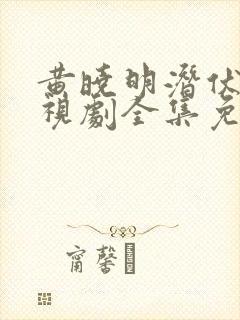 黄晓明潜伏者电视剧全集免费观看