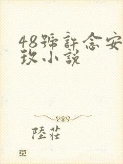 48号许念安穆玫小说