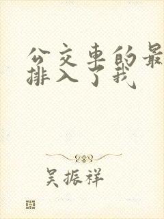 公交车的最后一排入了我