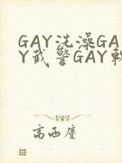 GAY洗澡GAY武警GAY软件