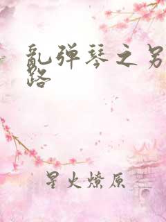 乱弹琴之另一条路