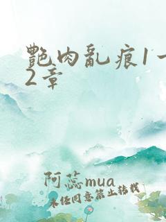 艳肉乱痕1一12章