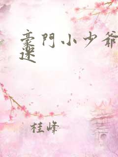 豪门小少爷是财迷