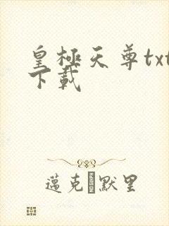 皇极天尊txt下载