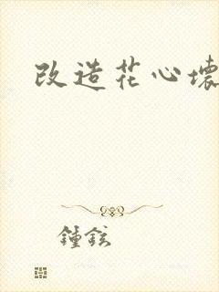 改造花心坏相公