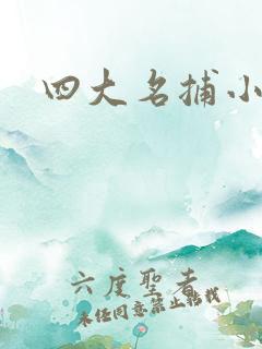 四大名捕小说