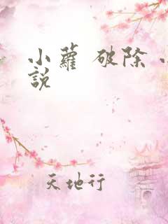 小萝 破除 小说