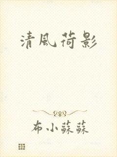 清风荷影