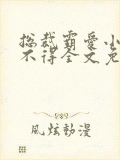 总裁霸爱小妻惹不得全文免费阅读