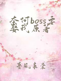 奈何boss要娶我原著