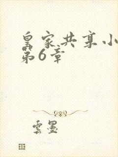 皇家共享小公主第6章