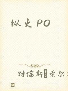 纵火 PO