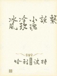 冰冷小说系列之风玫瑰