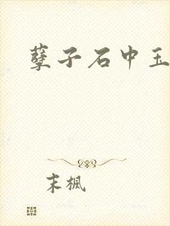 孽子石中玉
