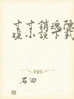 寸寸销魂陈聪王暖小说下载