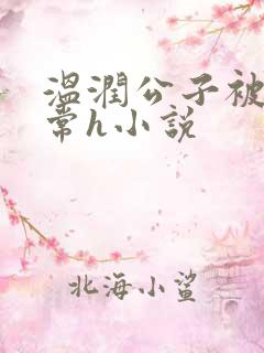 温润公子被脔日常h小说