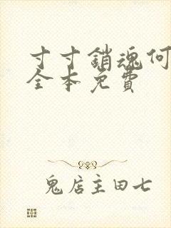 寸寸销魂何生祥全本免费