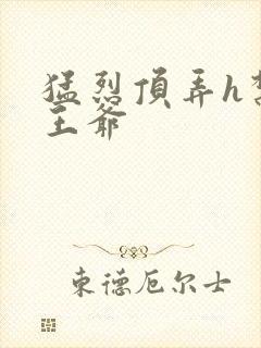 猛烈顶弄h禁欲王爷