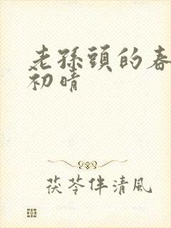 老孙头的春天林初晴