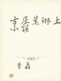 方辰叶琳上官步小说