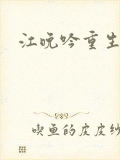 江晚吟重生小说