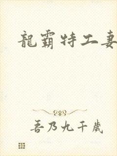 龙霸特工妻