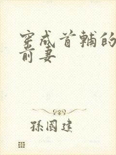 穿成首辅的炮灰前妻