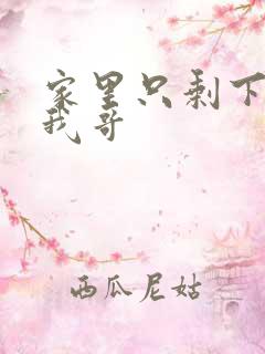 家里只剩下我和我哥