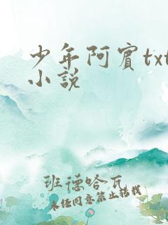 少年阿宾txt小说