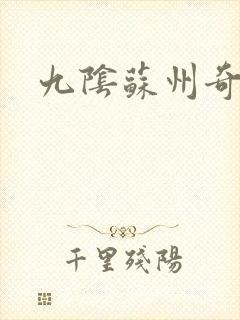 九阴苏州奇遇