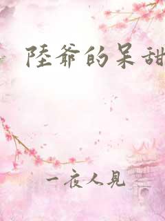 陆爷的呆甜萌妻