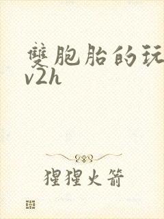 双胞胎的玩具1v2h