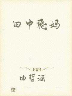 田中飞妈