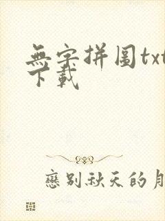 无字拼图txt下载