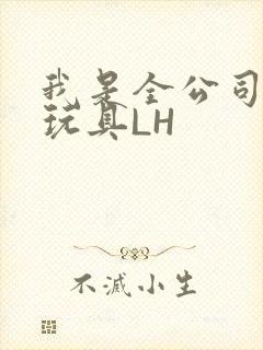 我是全公司发泄玩具LH