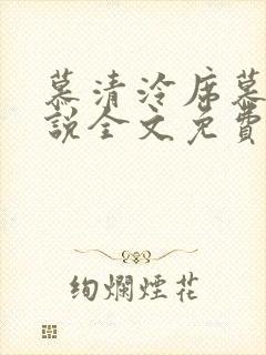 慕清泠席慕深小说全文免费阅读