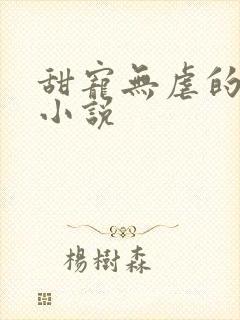 甜宠无虐的军婚小说