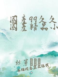 国产99久久久国产精品小说