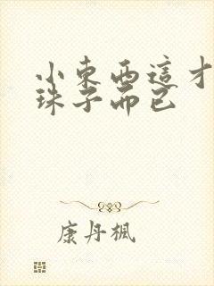 小东西这才一颗珠子而已