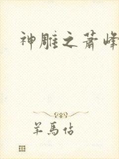 神雕之萧峰后人