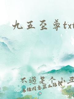 九五至尊txt