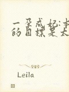 一孕成妃:本宫的目标是太后